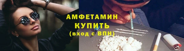 прущие грибы Алзамай