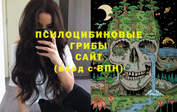прущие грибы Алзамай