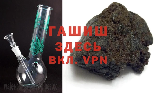 прущие грибы Алзамай