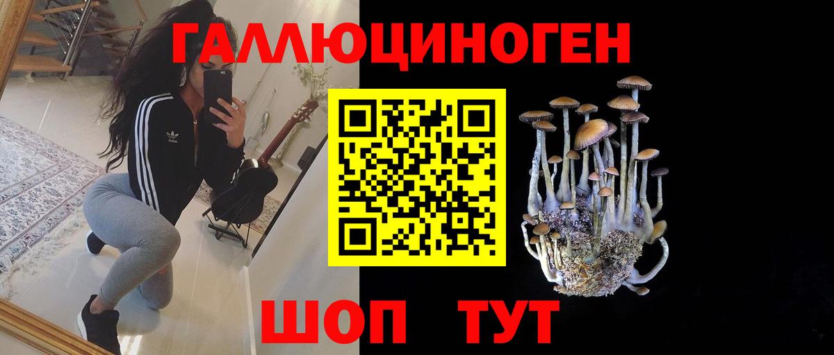 Красноармейск  Псилоцибиновые грибы прущие грибы  Вход с VPN 
